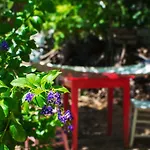 KARABURUN KÖYEVİ Pansiyon Pansiyon